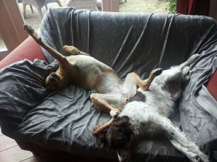 18558841_10210879327431751_3193077601406572081_o